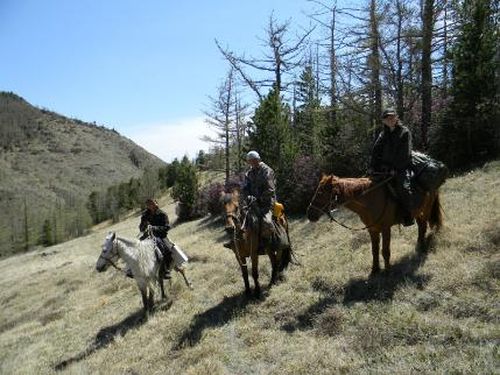 Почти 1300 туристов посетило в прошлом году заповедник «Убсунурская котловина»