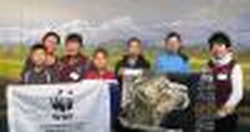 15 лет; полёт нормальный