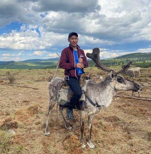 Студенты ТувГУ изучают генетику яков и северных оленей