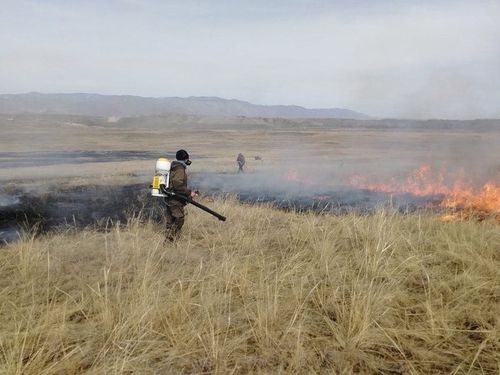 Трава растет быстрее, прогревается почва, какие еще есть мифы о пользе весеннего поджога травы?