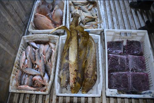 Шагонарская рыба завоёвывает тувинский рынок