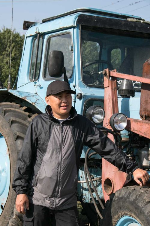 Как проходит кормозаготовка в Туве?