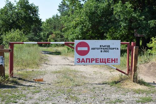 В Туве продолжает действовать режим ЧС, введенный властями из-за пожаров