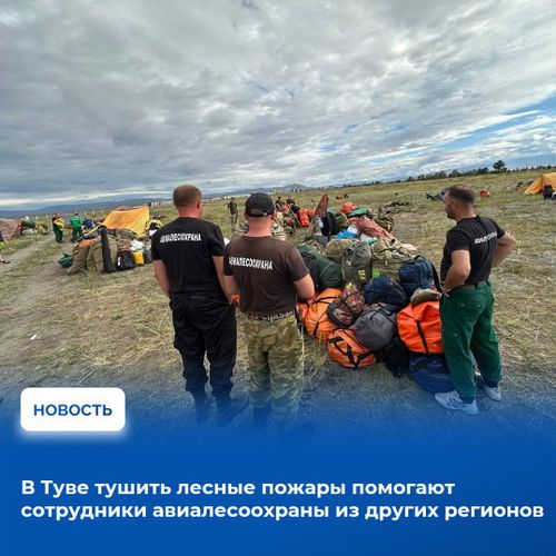 В Туве за сутки справились с двумя лесными пожарами