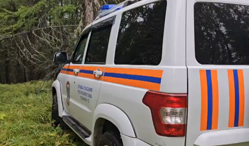 В местечке «Станция Тайга» ведутся поиски трех заблудившихся человек