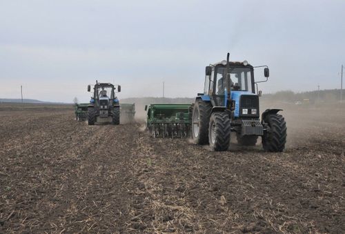 Дүжүттүң магадылалы – суггарылга