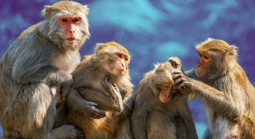 | УГААДЫГЛЫГ ЧУГАА |