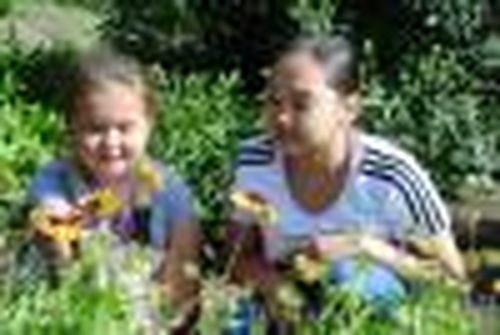 Стандарт безопасности