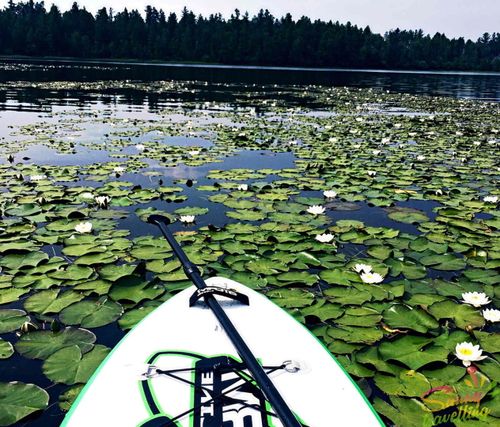 МегаФон выявил популярные места отдыха своих клиентов в Туве