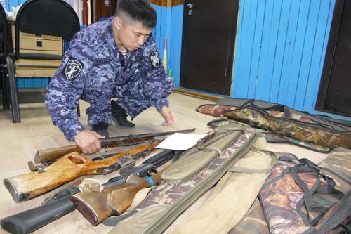 Хочешь оружие? Знакомься с изменениями в законе!