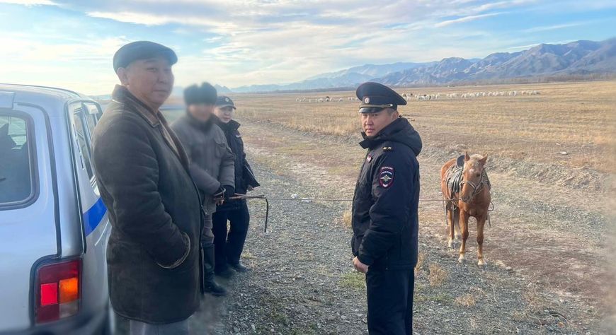 В Улуг-Хемском районе проведен рейд по выявлению нарушений правил выпаса животных