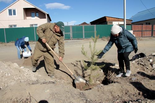 Тувинские депутаты приняли участие во Всероссийской экологической акции «Сохраним лес»