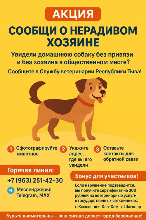 В Туве стартовала акция «Сообщи о нерадивом хозяине»
