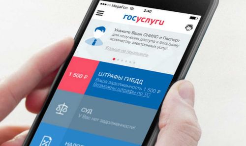 В Кызыле открыт дополнительный пункт для восстановления учетной записи на «Госуслугах»