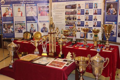 В Туве подняли до 3 млн рублей размер субсидии чемпионам и призерам соревнований высшего уровня