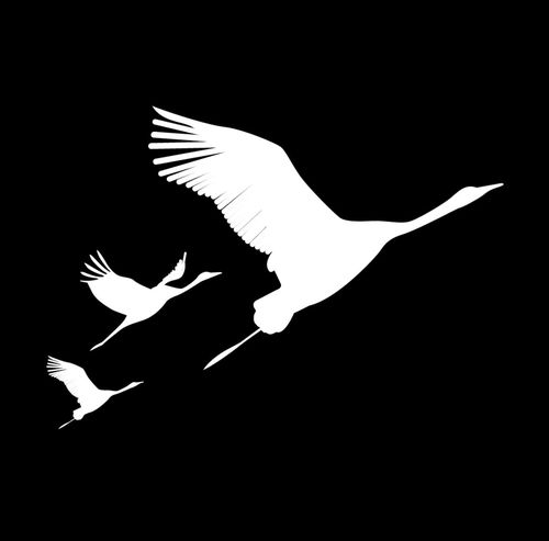 «Летят журавли». Республика Тыва присоединилась к общенациональной траурной акции