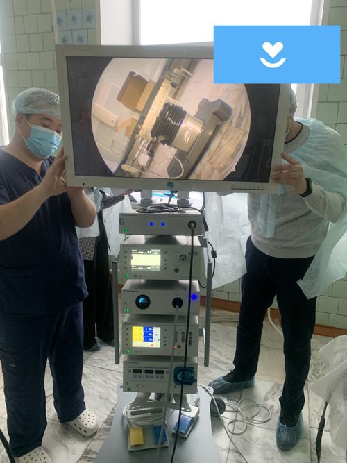 АМГЫ ҮЕНИҢ 81 ЭМЧИ ДЕРИГ-ХЕРЕКСЕЛИ НЕМЕШКЕН