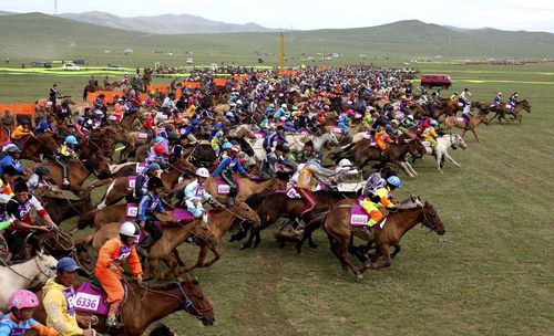 Сегодня стартовали конные скачки