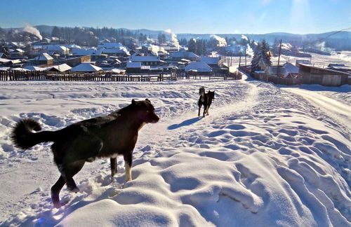 Электричество в Тодже восстановлено