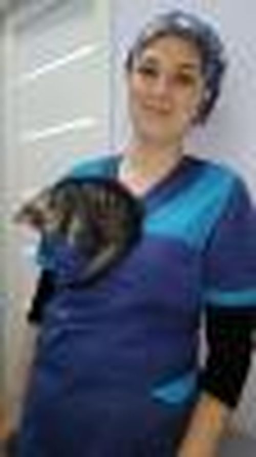 Лучший кот в мире!