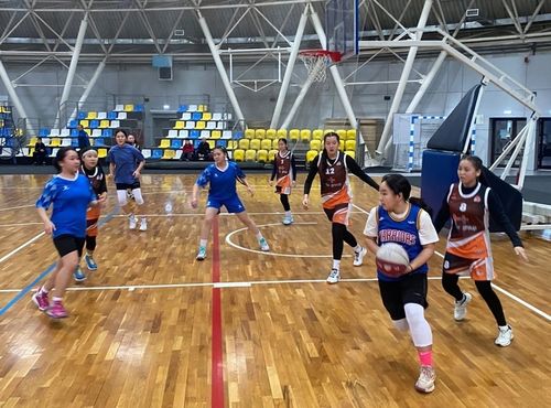 Тывага национал төлевилелдерни боттандырганындан спортка ынактар саны көвүдээн