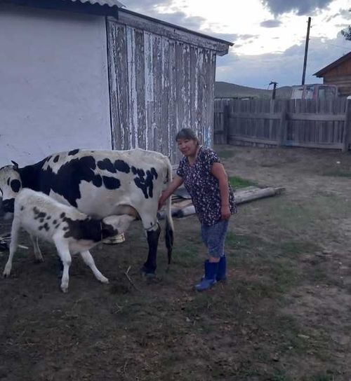 В Дзун-Хемчикском районе пополнились ряды самозанятых