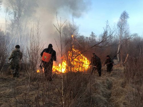11 девискээрде өрттер өөскээн