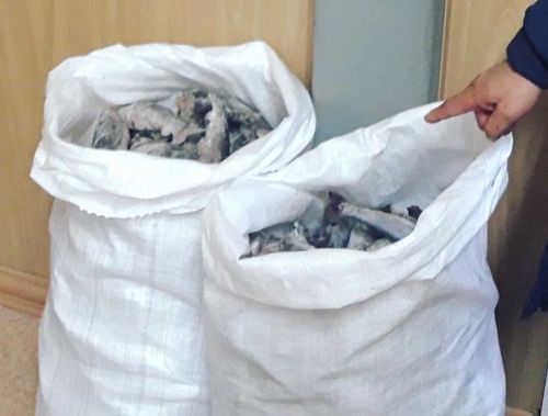 Рыбака задержали с хариусом и могут обвинить в контрабанде