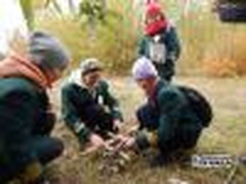 Лесные следопыты