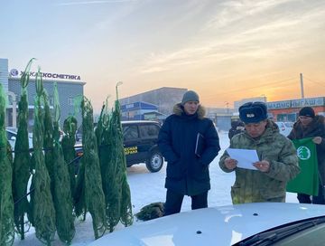 Тываның Арга-арыг яамызы ине бүрүлүг чаш ыяштарны камгалаар талазы-биле хемчеглерни күштелдирген