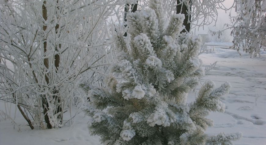 Фотографии Александра Ходосевича