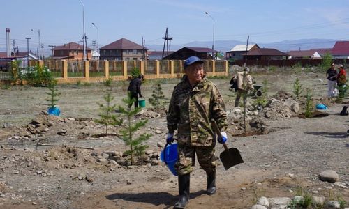 Херектерни көрбүшаан, хөй-ниити ажылдарынга киржип…