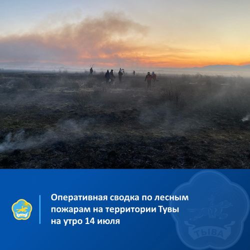 На 9.00 14 июля 2024 года на землях лесного фонда Тувы действуют два лесных пожара на общей площади 190 га