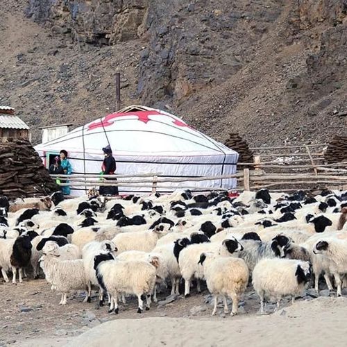 Сельское хозяйство: предварительные итоги