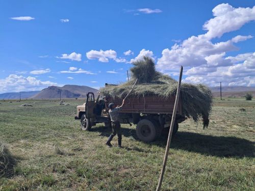 Фокус на кормозаготовку