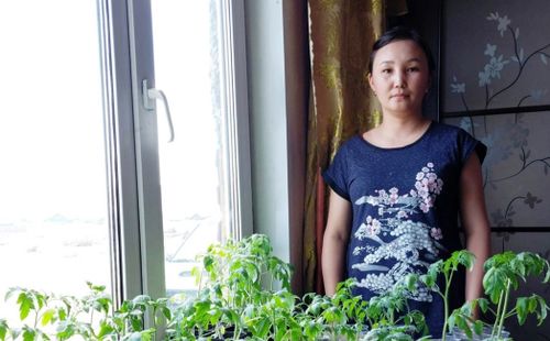 Чыргаландының эрес-кежээ ногаажызы