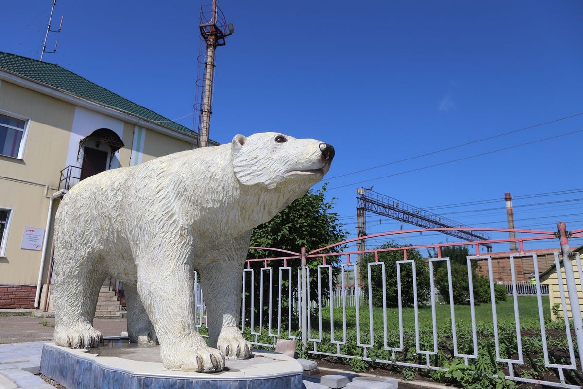 Красноярск Северный медведь