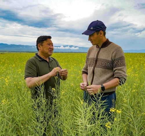 Танды: Рапс, гречиха и земляника - будущее Тувы