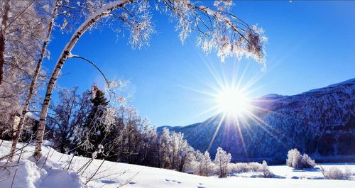 В Туве предрекают холодный январь