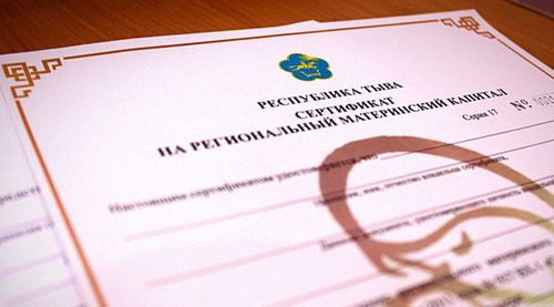 В Туве 142 многодетных семьи воспользовались региональным материнским капиталом