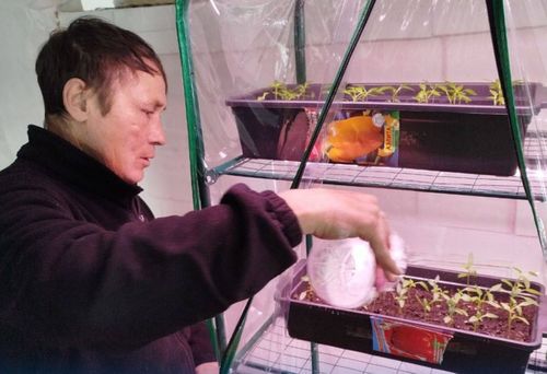 В Туве 170 участников СВО и членов их семей заключили социальные контракты