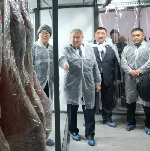 Улуг-Хемниң бараан бүдүрүкчүлери бот-боттарын деткижип турар