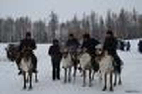 Пенсионная реформа: проект действий