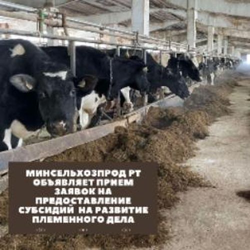 Сельхозпроизводители Тувы могут получить господдержку в рамках ИПСЭР