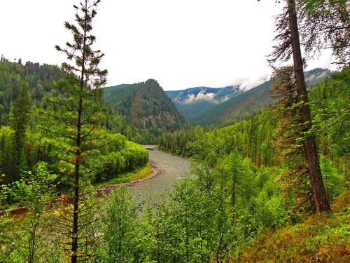 В Туве нет действующих лесных пожаров