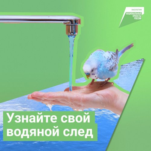 Сегодня Всемирный день водных ресурсов