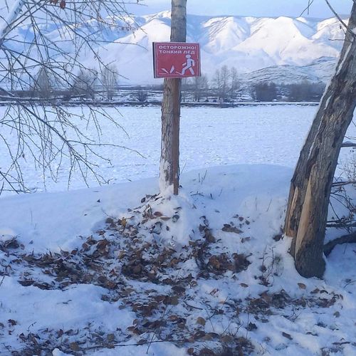 Тывада «Чуга дош» профилактика акциязы эгелээн