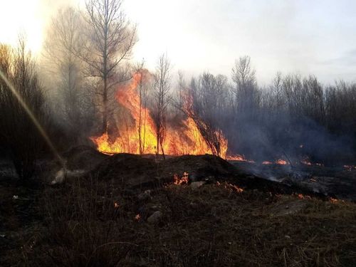 + 2 пожара за выходные