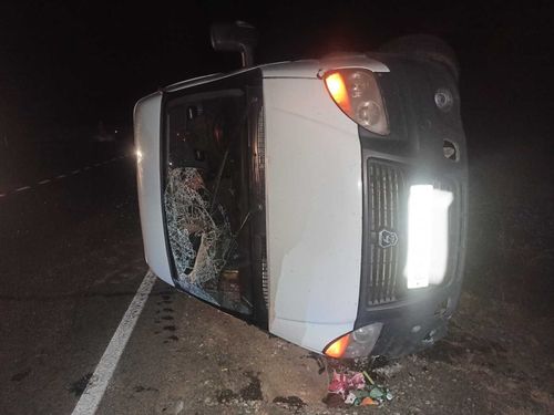 В Туве из-за коровы на дороге произошло две аварии