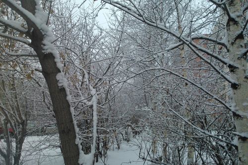 В ТУВЕ 9 ОКТЯБРЯ ОЖИДАЕТСЯ ДОЖДЬ СО СНЕГОМ